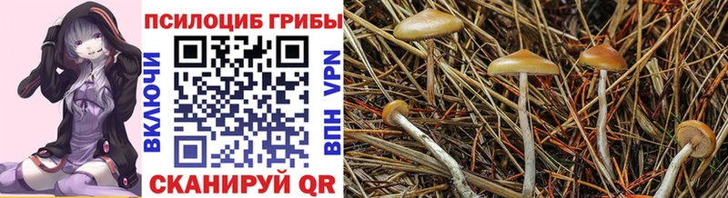 Галлюциногенные грибы мухоморы как найти наркотики Бахчисарай