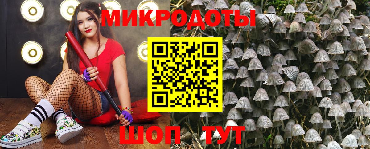 Псилоцибиновые грибы мухоморы  Галлюциногенные грибы мухоморы  Бахчисарай  Вход с VPN 