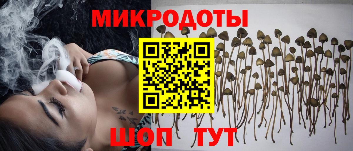 Галлюциногенные грибы GOLDEN TEACHER  Бахчисарай 