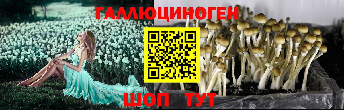 Галлюциногенные грибы ЛСД Бахчисарай